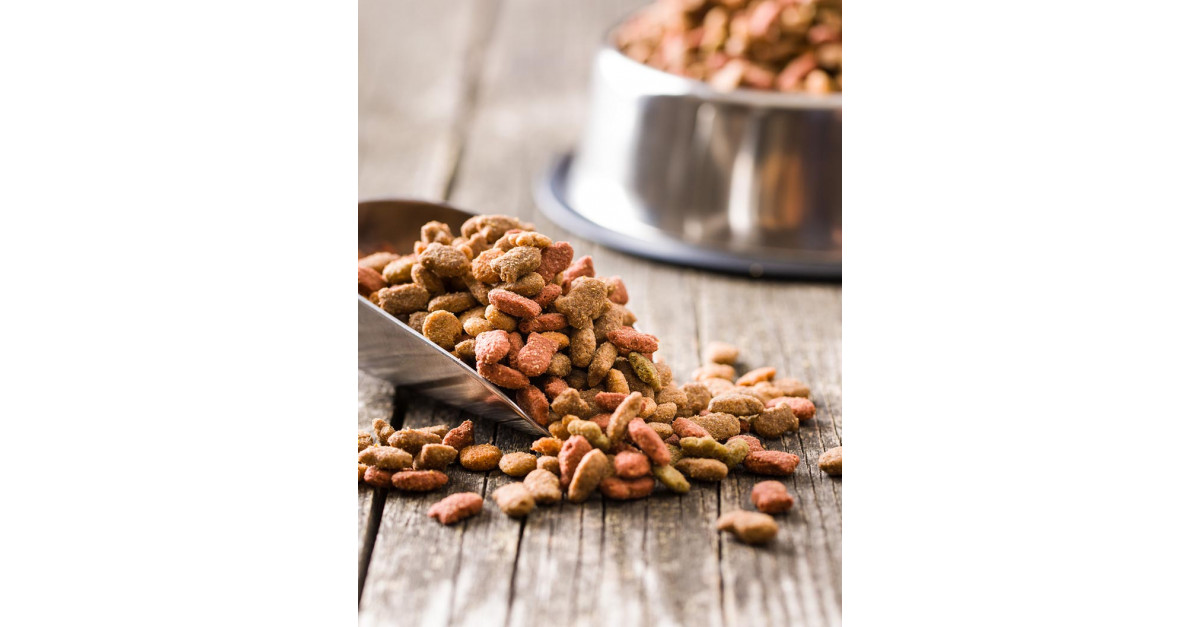 Non-GMO Animal Feed Market|Size, Share, Growth, Trends|Industry
